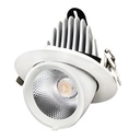 LXF 15 °/24°/ 38 ° LED Elephant Trunk Spotlight Model: LXF-RDL30