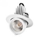 LXF 15 °/24°/ 38 ° LED Elephant Trunk Spotlight Model: LXF-RDL30