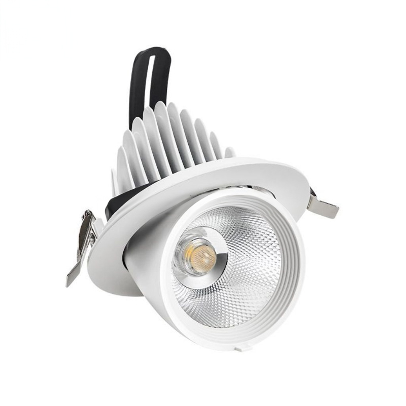 LXF 15 °/24°/ 38 ° LED Elephant Trunk Spotlight Model: LXF-RDL30