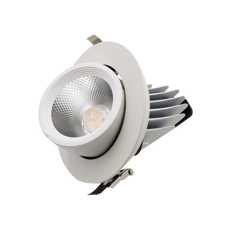 LXF 15 °/24°/ 38 ° LED Elephant Trunk Spotlight Model: LXF-RDL30