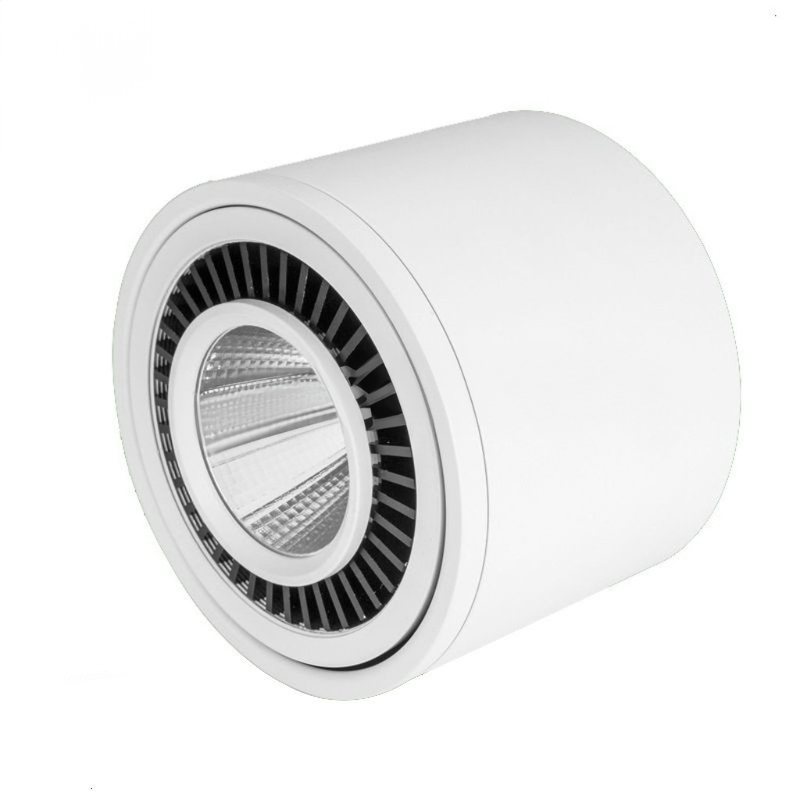 LXF Adjustable Surface Mounted LED Down Light Model: LXF-SLXF